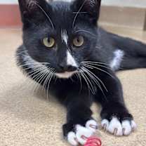 Thumbnail photo of Tammy #2