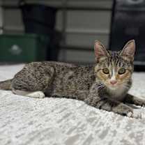 Thumbnail photo of Nami #2