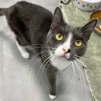 Thumbnail photo of Sophie #1