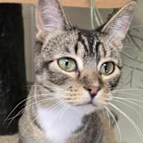 Thumbnail photo of Otis #2