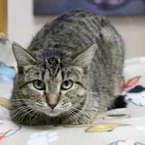 Thumbnail photo of Elsa #1