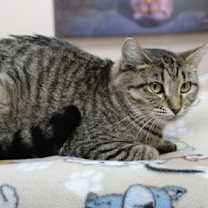 Thumbnail photo of Elsa #3