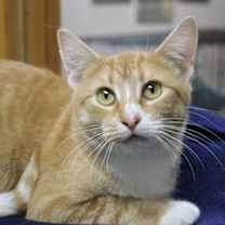 Thumbnail photo of Boo #1