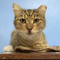 Thumbnail photo of Bryndi #3