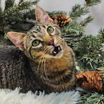 Thumbnail photo of Miss Kay  #1