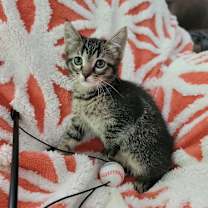 Thumbnail photo of Miss Kay  #2