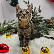 Thumbnail photo of Miss Kay  #3