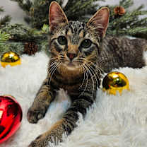 Thumbnail photo of Miss Kay  #4