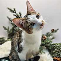 Thumbnail photo of Haymitch #4