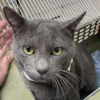 Thumbnail photo of Jeramiah (mcas) #1