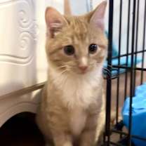 Thumbnail photo of Kenny #2