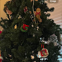 Thumbnail photo of Ariel #4