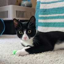 Thumbnail photo of Callaway #2