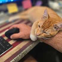 Thumbnail photo of Reggie #3