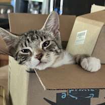 Thumbnail photo of Nani #1