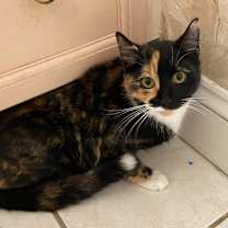 Thumbnail photo of Joyce #3