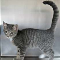 Thumbnail photo of Paris #3