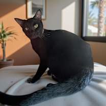 Thumbnail photo of Ranger #2