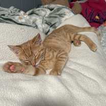 Thumbnail photo of Natalie #4