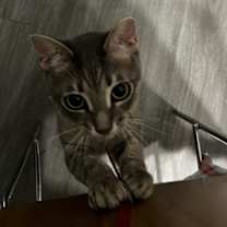 Thumbnail photo of Bug #3