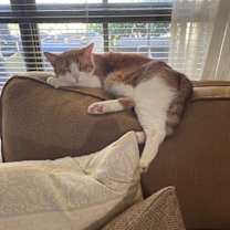 Thumbnail photo of Jesse #1