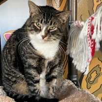 Thumbnail photo of Walker #2