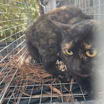 Thumbnail photo of Bridget #2