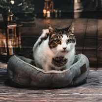 Thumbnail photo of Sabrina #1