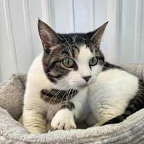 Thumbnail photo of Sabrina #3