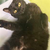 Thumbnail photo of Radiohead #1