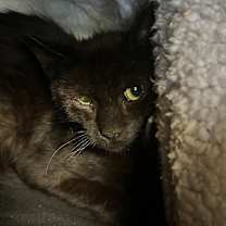 Thumbnail photo of Radiohead #3