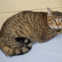 Thumbnail photo of Drew #3