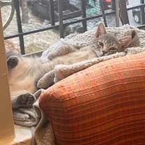 Thumbnail photo of Dorian Dinghy & Tyler Tugboat #2