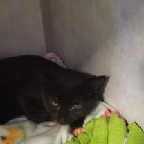 Thumbnail photo of Polina  #2