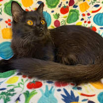 Thumbnail photo of Martha #1