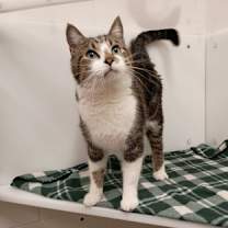 Thumbnail photo of Smudge #3