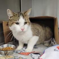 Thumbnail photo of Connor #2