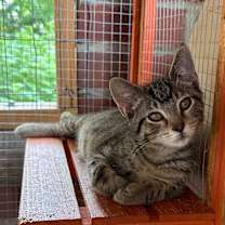 Thumbnail photo of Scooby #3