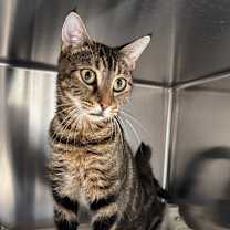 Thumbnail photo of Riley #1