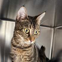 Thumbnail photo of Riley #3