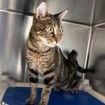 Thumbnail photo of Riley #4