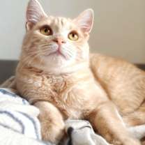 Thumbnail photo of Sienna #2