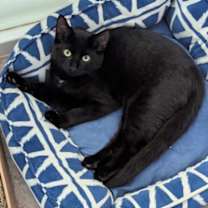 Thumbnail photo of Blair #1