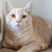 Thumbnail photo of Sienna #3