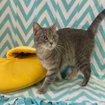 Thumbnail photo of Galinda #1