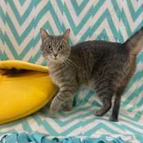 Thumbnail photo of Galinda #2