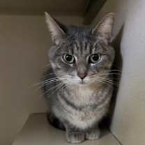 Thumbnail photo of Galinda #3