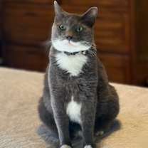 Thumbnail photo of Earl #1