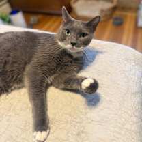 Thumbnail photo of Earl #2