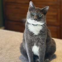 Thumbnail photo of Earl #3